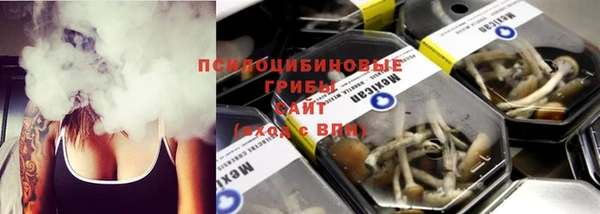 прущие крисы Коряжма
