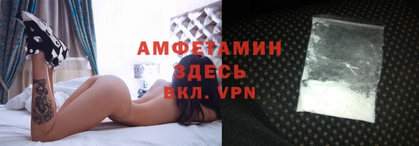 прущие грибы Костерёво