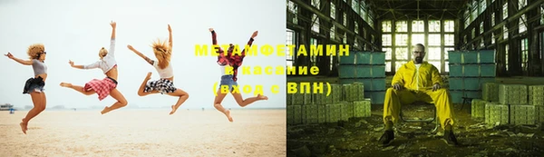 трава Корсаков