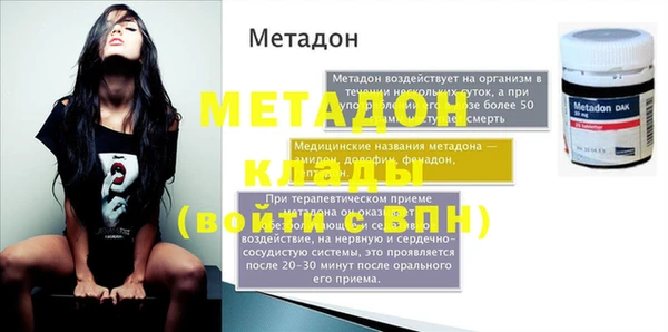 трава Корсаков