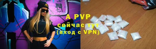 прущие грибы Костерёво