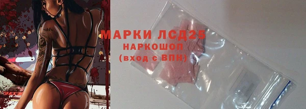 прущие грибы Костерёво