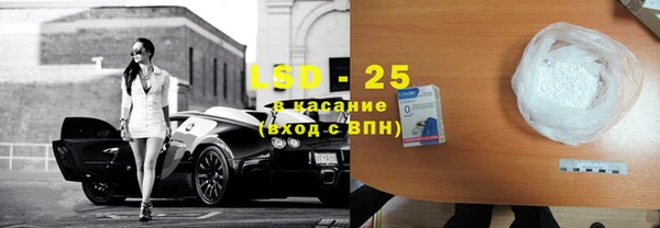 трава Корсаков