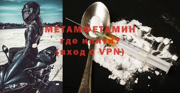 прущие грибы Костерёво