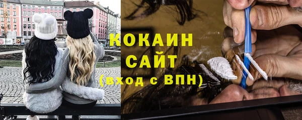 трава Корсаков