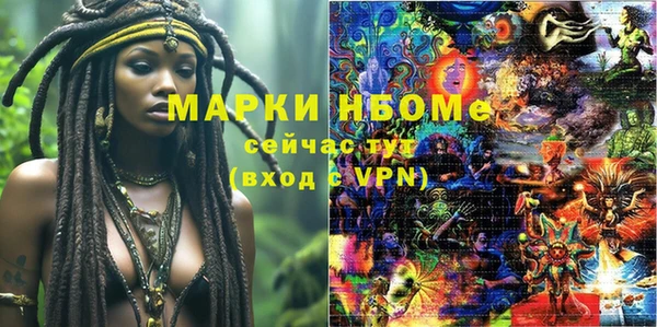прущие грибы Костерёво