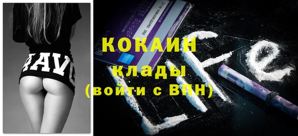 прущие грибы Костерёво