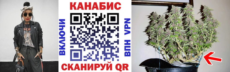 Бошки Шишки тримм  Кяхта 